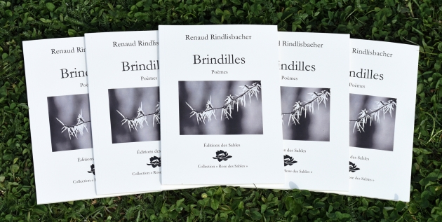 Brindilles-Site